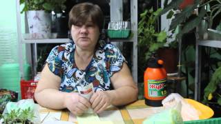 Непременно их посадите!И вы не пожалеете! Лук-порей и базилик.