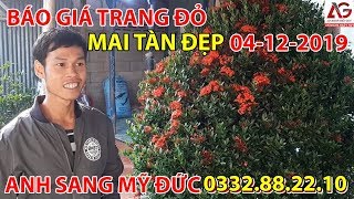 BÁO GIÁ TRANG ĐỎ - MAI TÀN ĐẸP 04-12-2019 ? ANH SANG MỸ ĐỨC 0332882210 ? | AN GIANG NGÀY NAY
