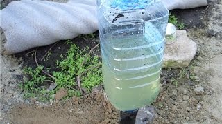 Простой капельный полив, капельный полив своими руками видео