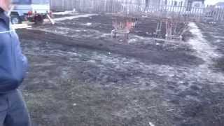 Легендарная Русская Овчарка (ВЕО) 6 месяцев