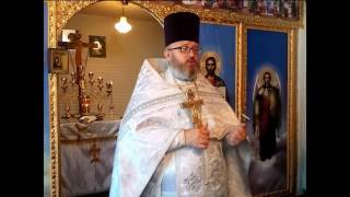 Как у головы человеческой не могут быть два тела, так и Церковь должна быть одна.