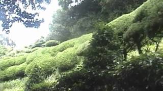 안산디자인문화고2011_수학여행보고서