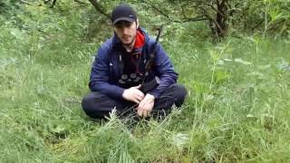 Обращение амира Раббаникалы Аббаса| Расходуйте на пути Аллаха.