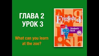 Английский язык 4 класс Кузовлев Часть 1 глава 2 урок 3 #english4 #кузовлев4класс #английскийязык