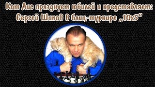 ? Кот и шахматы. Сергей Шипов играет в блиц! 10.12.2016