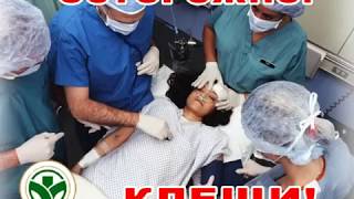 Конго-крымская геморрагическая лихорадка
