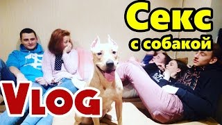 СЕКС С СОБАКОЙ ВЕЧЕРИНКА РУФЕРЫ ВПИСКА СЕКС / Stas Agapov VLOG