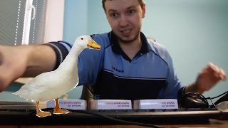 ПАПАНЯ И ГУСЬ