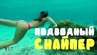 ПОДВОДНАЯ ОХОТА || Нечеловеческая меткость