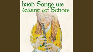Na Pairceanna Oir (Fields Of Gold)