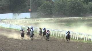 7 Скачка на Приз Содружества. ШАНГОР. 13.08.2011