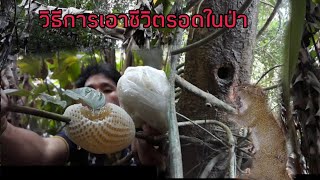 ์เข้าป่าล่าสัตว์และเรียนรู้วิธีการเอาชีวิตรอดในป่า(AKHA NOI)