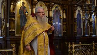 Проповедь 19.11. 2017 (Воскрешение дочери Иаира)