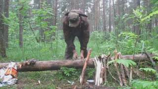 Костёр в сыром лесу