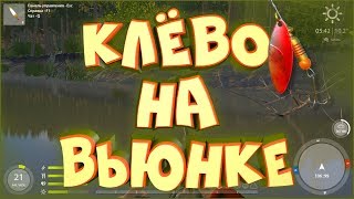 Тест блесны Драгонфлай Лонг и клевые места на Вьюнке • Русская рыбалка 4 • Гайд