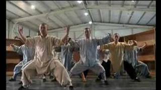 Sidi Larbi & Antony Gormley - rehearsals with Shaolin Monks