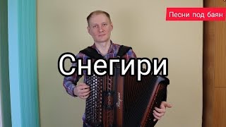 За окошком снегири. Песни под баян. #баянист_Евгений_Попов