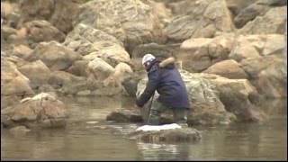 Инспекторы против браконьеров в  Дальневосточном морском заповеднике