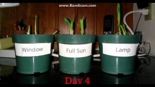 E27 Hydroponic Plant Growing LED Spot Light