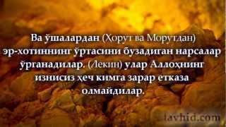 Сеҳр ҳақида