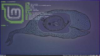Installing antergos i3wm on vmware player 12 patched (01/2017) on kernel 4.9.5 on linuxmint 18.1 i3