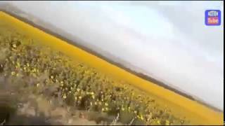 НОВОСТИ СЕГОДНЯ Танковый бой Новороссия Украина Снежное Донецк Шахтерск Торез Славянск война 2014
