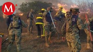 Siguen labores en incendios forestales de Baja California