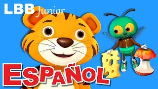 La canción de la mosca | Canciones infantiles | Canción original de LBB Junior