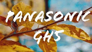 Panasonic GH5 & 12-35mm F2.8 II