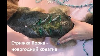 Стрижка йорк, креативный груминг - новогоднее настроение ??