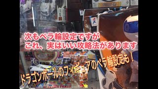 【クレーンゲーム】 ペラ輪掛け設定を裏技使って乱獲！ Japan Claw Machine