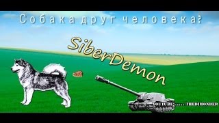 ИСУ-152: Собака друг человека?