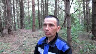 анекдот про аиста