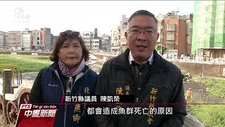 竹北豆子埔溪魚群死亡 1天撈起逾3噸 20200118 公視中晝新聞