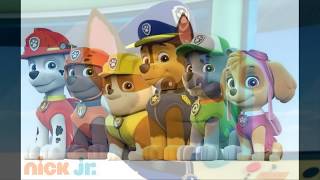 Аудиосказка для детей Щенячий патруль - Щенки спасают сладости - Paw patrol