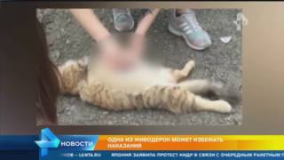 Малолетняя убийца животных из Хабаровска задержана в Новосибирске.