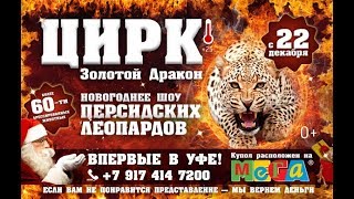 Цирк Золотой Дракон Уфа