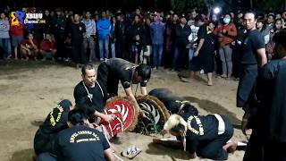 AMPEL CONDRO REJO (ACR LION BOYS) Live MADYOPURO - edisi penonton MEMBLUDAK || part 2