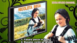 COLAJ CELE MAI FRUMOSAE MELODII - NICOLETA BECA, ZOOM STUDIO