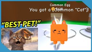 I got the Best Pet in Roblox RPG Simulator