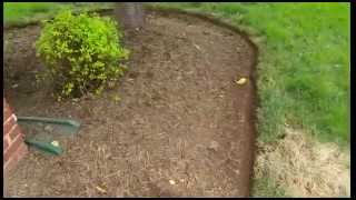 Best / easiest way to reedge a garden