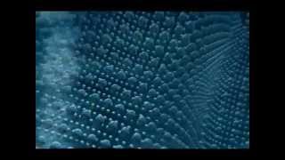 Оборудование просеивания грунтов, торфа и сапропеля