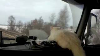 Дальнобой по России. Рейс на Москву, встреча с Рашидом