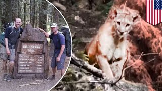 Mountain lion: Hikers record close encounter with large mountain lion - TomoNews