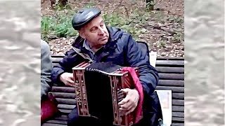"Возьму гармонь, по кнопочкам пройдусь я"
