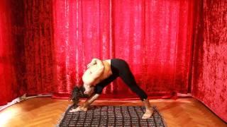 йога хатха за начинаещи по Айенгар.Hatha Yoga for beginnersMOV
