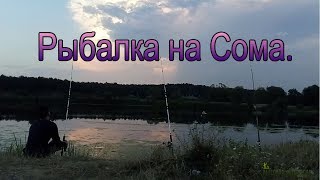 Рыбалка на Сома Донкой с берега. Беларусь.