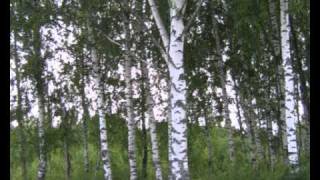 родные просторы