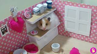 ХОМЯЧКИ ждут ГОСТЕЙ в НоВОМ домике Hamsters are waiting for guests