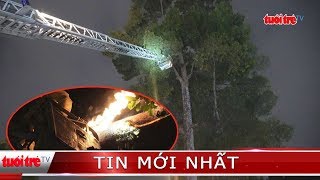 ⚡ NÓNG | Cảnh sát điều xe thang bắt tổ ong ‘khủng’ trước cổng bệnh viện Hùng Vương